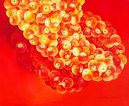 Miho MURAKAMI NFF JAPON